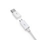 Adaptador Tipo C Personalizado Adaptador Tipo C Personalizado