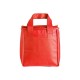 Bolsa Térmica 5 Litros Personalizada Bolsa Térmica 5 Litros Personalizada