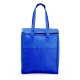 Bolsa Térmica 9 Litros Personalizada Bolsa Térmica 9 Litros Personalizada