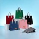 Bolsa Térmica 5 Litros Para Personalizar Bolsa Térmica 5 Litros Para Personalizar
