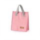Bolsa Térmica 5 Litros Para Personalizar Bolsa Térmica 5 Litros Para Personalizar